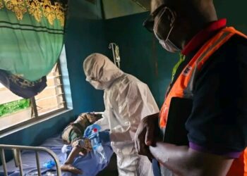Fresh Lassa Fever Outbreak Claims Two Lives in Plateau