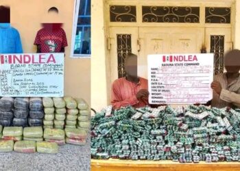 NDLEA Busts Trans-Border Drug Syndicate, Seizes Tramadol, Meth Hidden in Vehicles
