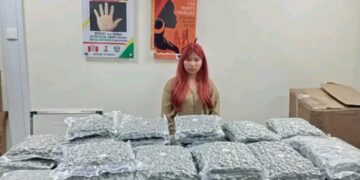 NDLEA Arrests 24-Year-Old Thai Lady with 43 parcels of Canadian Loud at Lagos Airport