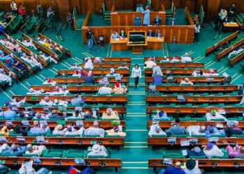 Lawmakers Consider 31 New States in Nigeria