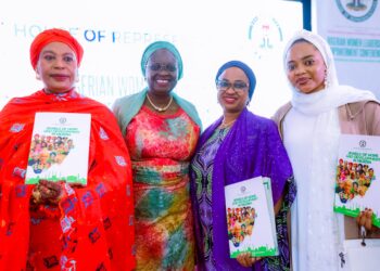 Politics Should Be Partnership, Not Battle of Masculinity – Salako-Oyedele