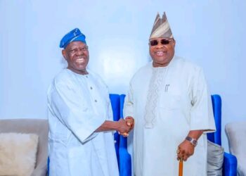 “Avoid Self-Help, Embrace Legal Resolution” – Adeleke Cautions on LG Dispute