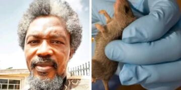 Lassa Fever Outbreak: Lasile Urges Vigilance as Ogun Govt Intensifies Response