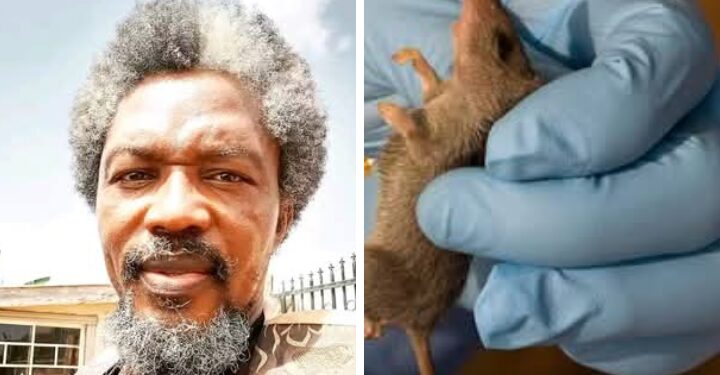 Lassa Fever Outbreak: Lasile Urges Vigilance as Ogun Govt Intensifies Response