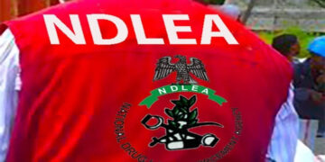 Angolan Businessman Excretes 120 Cocaine Pellets After NDLEA Arrest in Kano