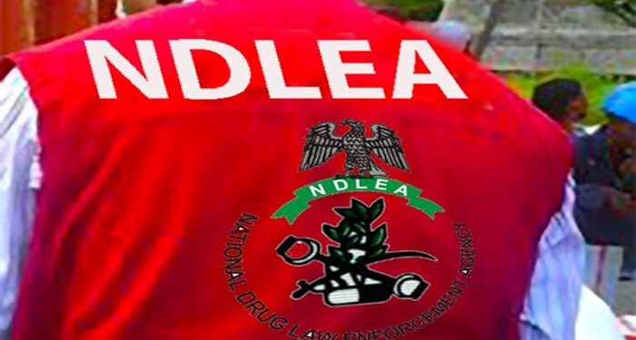 Angolan Businessman Excretes 120 Cocaine Pellets After NDLEA Arrest in Kano