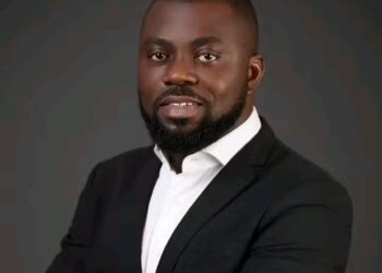 Tinubu Appoints Ayo Sotinrin as MD of Bank of Agriculture