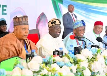 Tinubu, Shettima Disown 2027 Campaign Billboards, Call for Immediate Halt