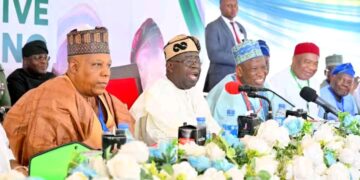 Tinubu, Shettima Disown 2027 Campaign Billboards, Call for Immediate Halt