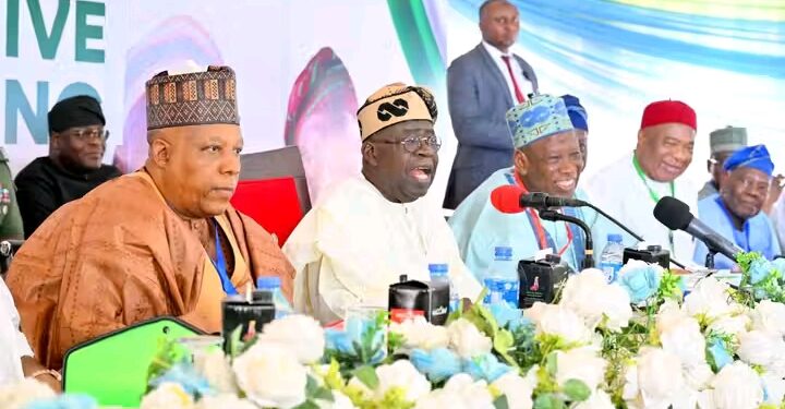 Tinubu, Shettima Disown 2027 Campaign Billboards, Call for Immediate Halt