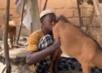 Hisbah Arrests 24-Year-Old Over Viral Immoral Act With Goat in Kano
