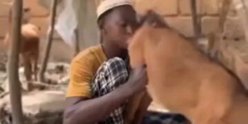 Hisbah Arrests 24-Year-Old Over Viral Immoral Act With Goat in Kano