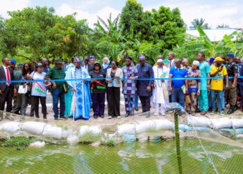 Abiodun Flags Off Fish Harvest, Reveals ₦2.25bn Investment in Ogun Aquaculture