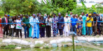 Abiodun Flags Off Fish Harvest, Reveals ₦2.25bn Investment in Ogun Aquaculture
