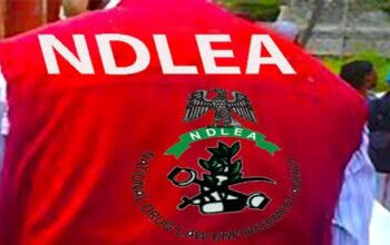 NDLEA Raises Alarm Over Widespread Intake of Loud, Cannabis in Oyo