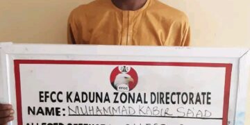 EFCC Nabs Kaduna Content Creator for Spraying, Stepping on Naira