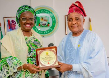 Ogun State: A Pioneer in Policy Leadership – NIPSS National President