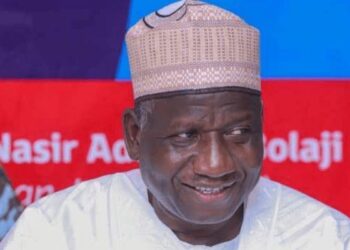 Electricity Tariff Hike, Subsidy Removal Driving Nigerians Into Poverty — ADP Chairman 