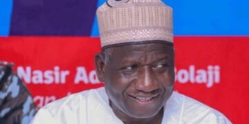 Electricity Tariff Hike, Subsidy Removal Driving Nigerians Into Poverty — ADP Chairman 