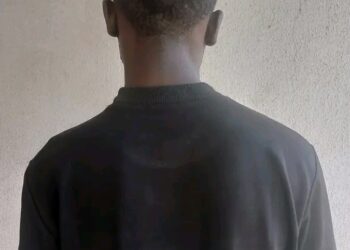 Fear of EFCC: Suspected Employment Scammer Surrenders in Gombe