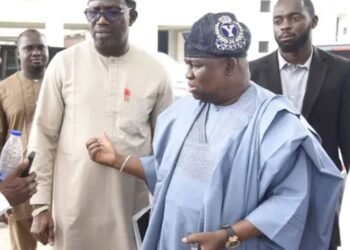 Sen Adeola Yayi: From Effective to Exceptional Representation