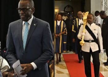 Most Enslaved People in Saint Lucia Were Nigerians, Says Senate President