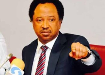 “Bow Your Heads in Shame” — Shehu Sani Berates El-Rufai, Amaechi for Attacking Tinubu