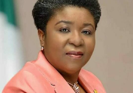 Nigeria’s Civil Service to Go Fully Paperless by December 31 — Walson-Jack