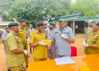 Customs Intercepts ₦172m Worth of Cannabis, Arrests Suspect in Ogun