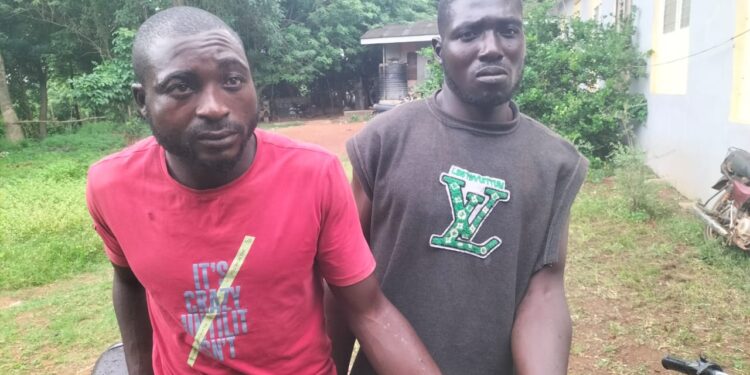 So-Safe Corps Arrests Ex-Convict, Recovers Stolen Motorbikes in Ogun