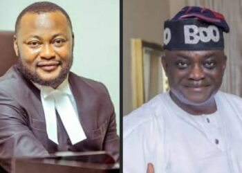 Wole Oke Is a Political Irritant Living Off Public Funds – Pelumi Olajengbesi