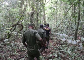 Ogun Assembly Commends Forestry Ministry, Urges Better Forest Conservation
