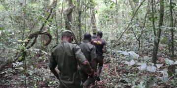 Ogun Assembly Commends Forestry Ministry, Urges Better Forest Conservation
