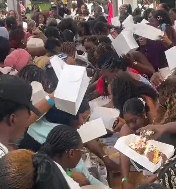 Organisers Apologise as Lagos’ First Cake Picnic Ends in Disorder