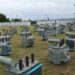 Birthday: Over 400 Communities Benefit as Yayi Distributes 102 Transformers in Ogun