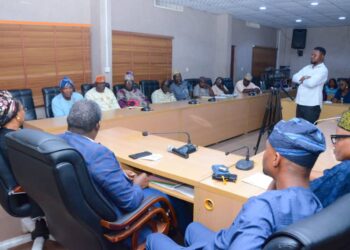 Ogun Assembly Intervenes as Immigration Allegedly Harasses Egun Residents