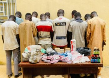 NDLEA Arrests 49 Suspects, Seizes Drugs, Weapons in Kano Raids