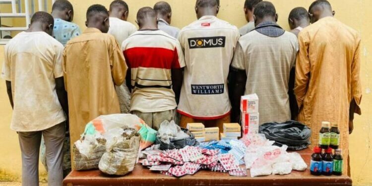 NDLEA Arrests 49 Suspects, Seizes Drugs, Weapons in Kano Raids