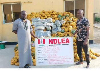 NDLEA Busts Drug Cartel, Arrests 3 Kingpins, Intercepts N5.3bn Cocaine
