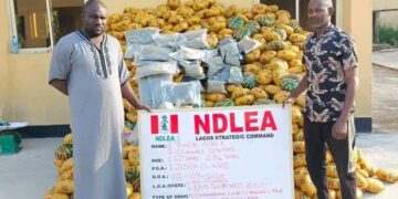 NDLEA Busts Drug Cartel, Arrests 3 Kingpins, Intercepts N5.3bn Cocaine