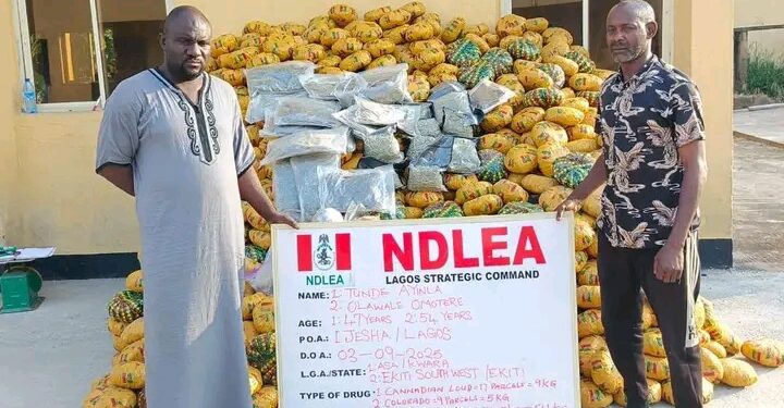 NDLEA Busts Drug Cartel, Arrests 3 Kingpins, Intercepts N5.3bn Cocaine