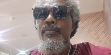 Collective Responsibility, Key to Building a Stronger Nation – Abiodun Lasile