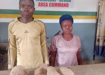 So-Safe Corps Arrests Two for Stealing Yams, Others in Ogun