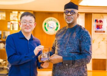 Chinese Firm to Build Power Plant, Industrial Park in Ogun