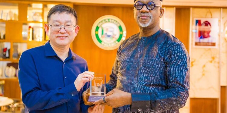 Chinese Firm to Build Power Plant, Industrial Park in Ogun