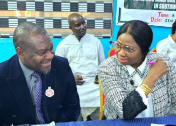 Pelican Valley CEO Praises Abike Dabiri-Erewa for Strengthening Nigeria-Diaspora Ties