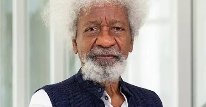 ‘A Curious Love Letter’: Wole Soyinka Mocks US Visa Revocation
