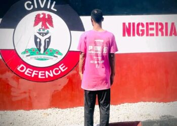 12-year-Old Girl Discharges Maggots After Stepfather Defiles Her, Osun NSCDC Vows Swift Legal Action.