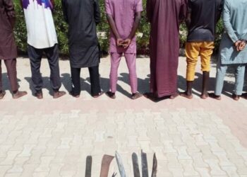 11 Suspected Hoodlums Nabbed in Kano for Violence, Looting