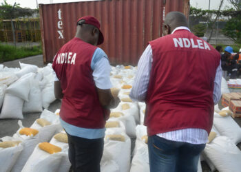 NDLEA arrests 230 suspects, seizes large drug haul in Kano